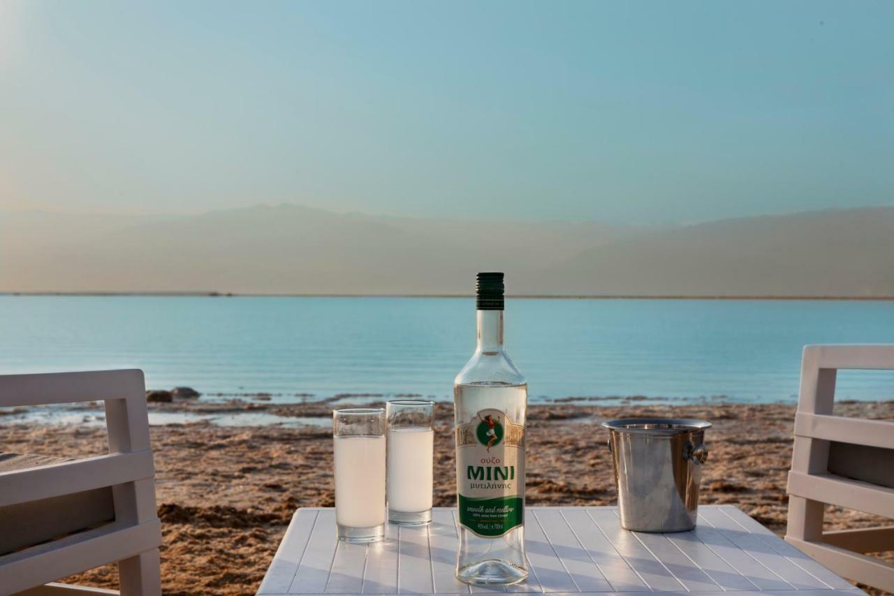 Herbert Samuel Milos Dead Sea عين بوكيك المظهر الخارجي الصورة
